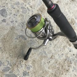 朝マズメの太刀魚爆釣