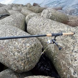 プチsalt water game