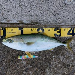 プチSalt water Game