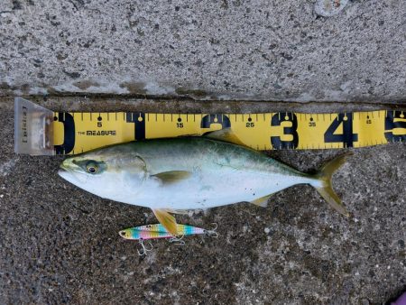 プチSalt water Game