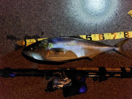 夕暮れのプチsalt water game