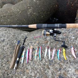 プチsalt water game