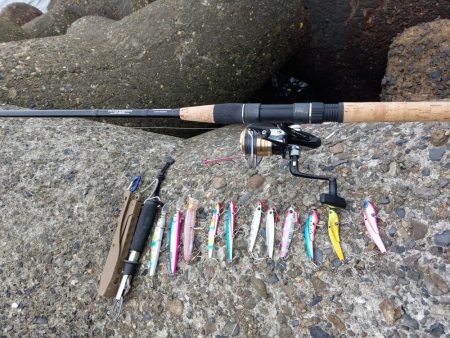 プチsalt water game