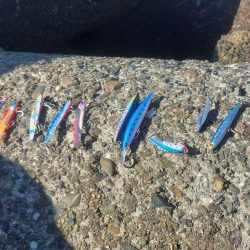 プチsalt water game