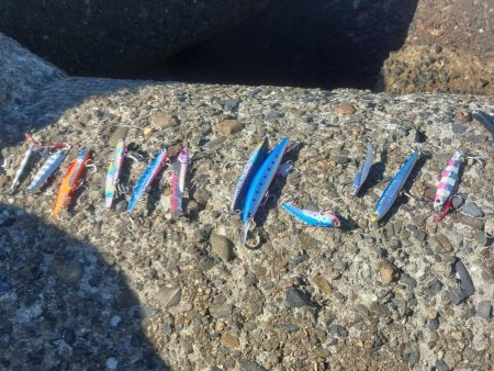 プチsalt water game