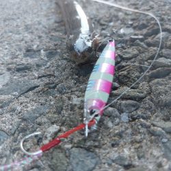 プチsalt water game