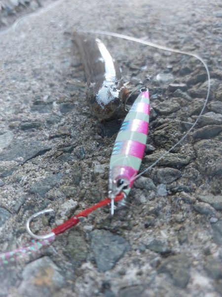 プチsalt water game