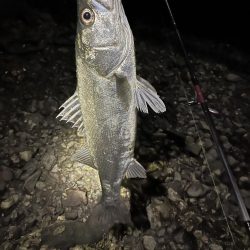 本日佐伯最後の釣行
