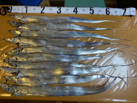 テンヤタチウオ