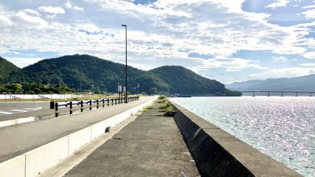 サヨリに会いたくて