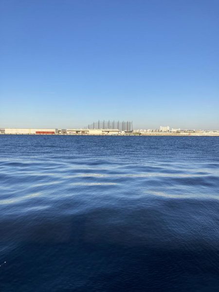 久しぶりにハマチが釣れた！