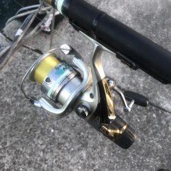 サビキで五目釣り