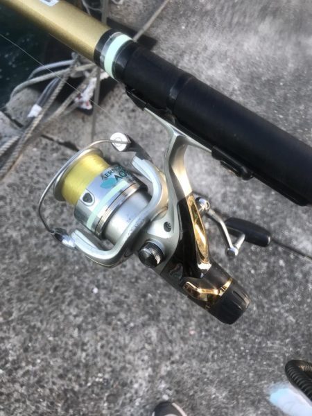 サビキで五目釣り