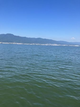 北山田50cm他4匹