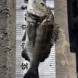 イチノ兄弟、釣果！