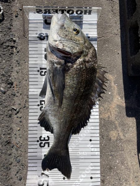 イチノ兄弟、釣果！