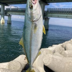 3バイト1キャッチ