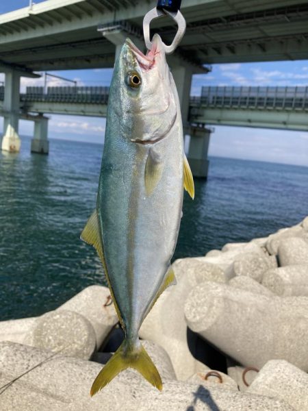 3バイト1キャッチ