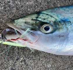 人生初の80オーバー