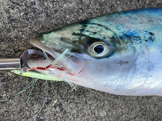 人生初の80オーバー