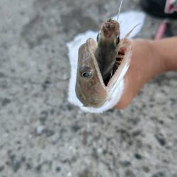 最近、絶好調です。