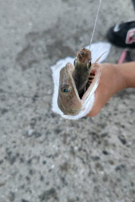 最近、絶好調です。