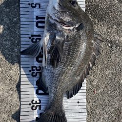 イチノ兄弟(兄)、釣果!