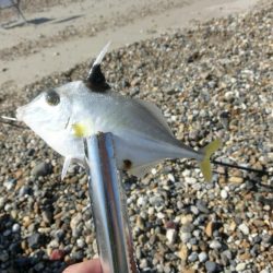 キス狙いで外道が