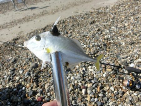 キス狙いで外道が