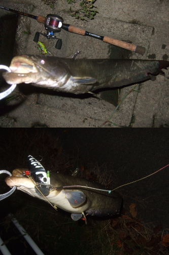 今回が今シーズンラスト釣行かも!?