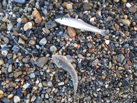 ちょい投げキス