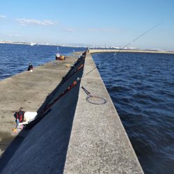 飲ませでメジロ