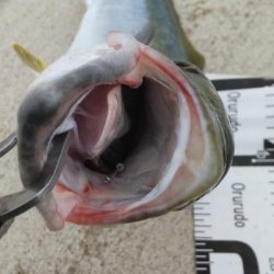 必死のランディング