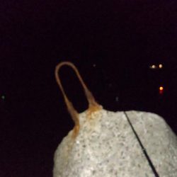 尺アジ連発も他の青物不在