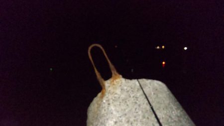 尺アジ連発も他の青物不在