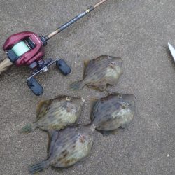 ボウズ逃れのカワハギ