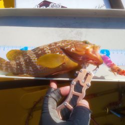 数釣り時期終わってた(> < )💦