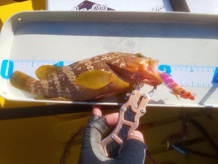 数釣り時期終わってた(> < )💦