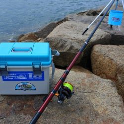 キス釣り　渋い