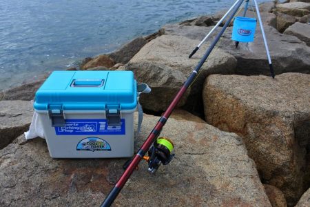 キス釣り　渋い