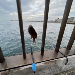 渋い季節の入り口