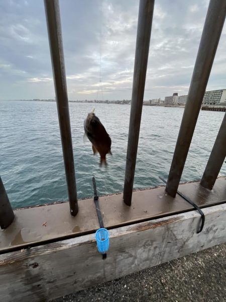 渋い季節の入り口