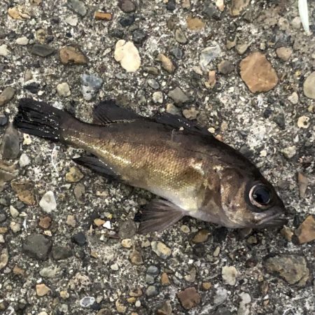 久しぶりの釣行