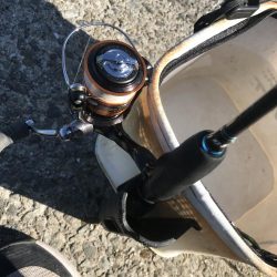 カワハギ釣りにチャレンジ