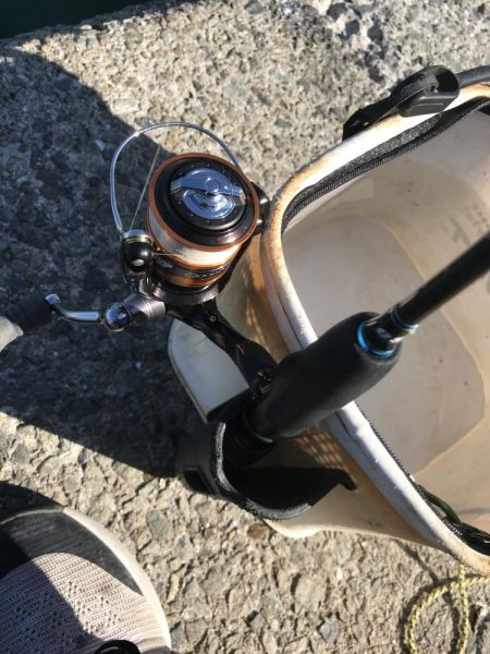 カワハギ釣りにチャレンジ