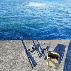 今日も奴が居た(笑)