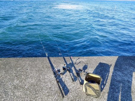 今日も奴が居た(笑)