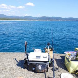 シマアジ釣りたいのに大ボラが。