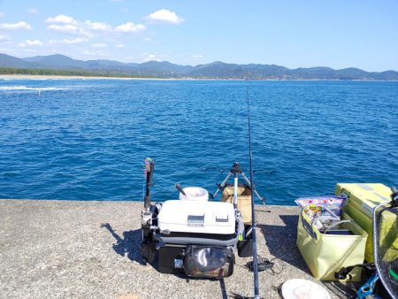 シマアジ釣りたいのに大ボラが。