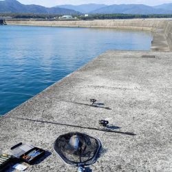 今日も安定のネイリ(苦笑;)